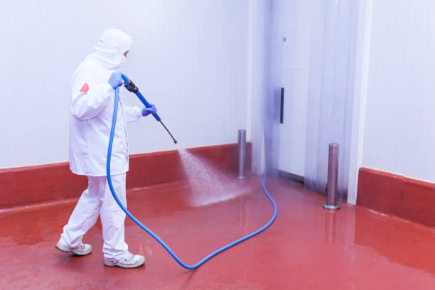  Tucumcari, NM Pressure Washing Pros